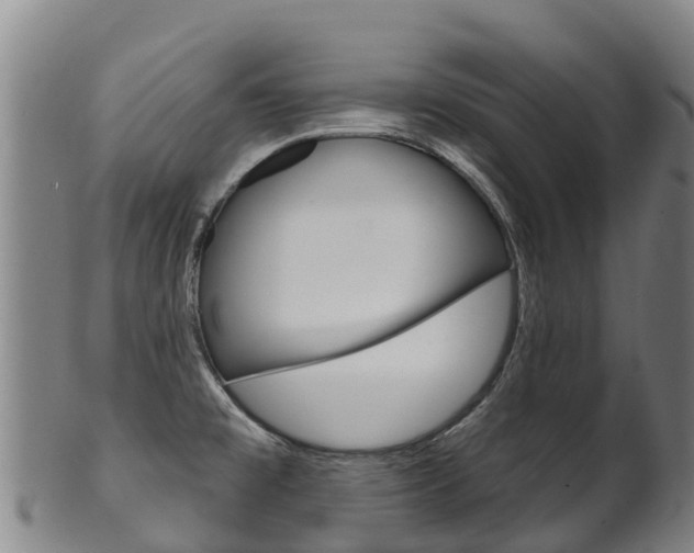 X0000102531477200808081041