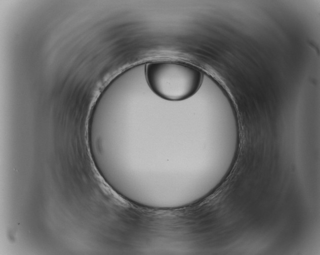 X0000102531480200808081041