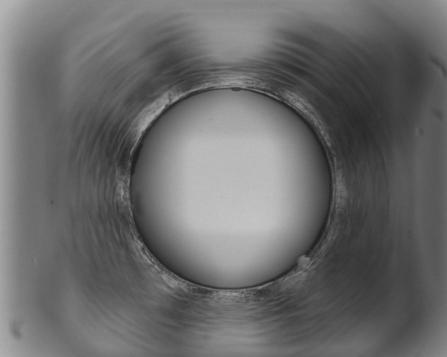 X0000102531481200808081041