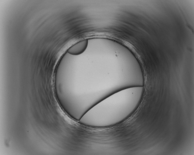 X0000102531482200808081041