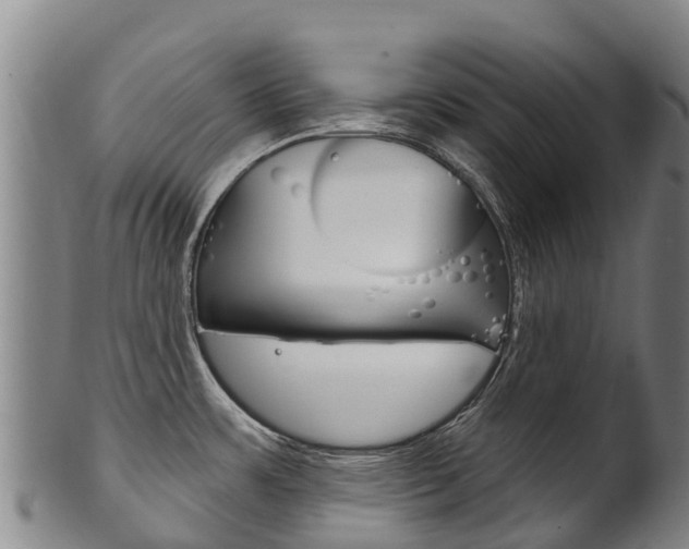 X0000102531483200808081041