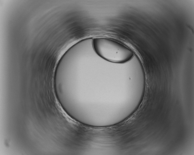 X0000102531485200808081041