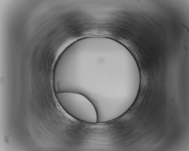 X0000102531486200808081041