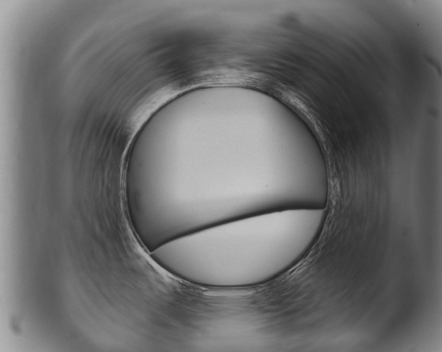 X0000102531487200808081041