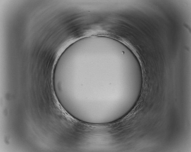 X0000102531488200808081041
