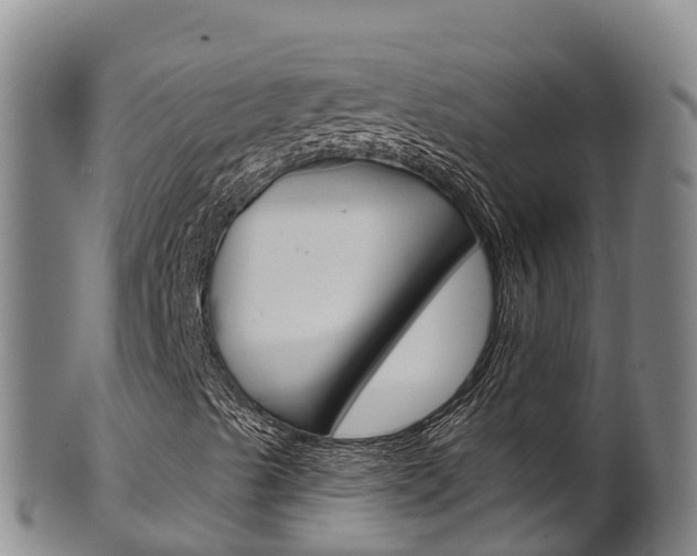 X0000102531489200808081040