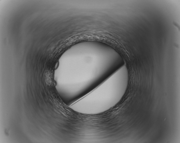 X0000102531490200808081040