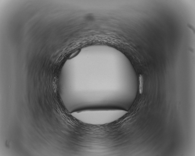 X0000102531491200808081040