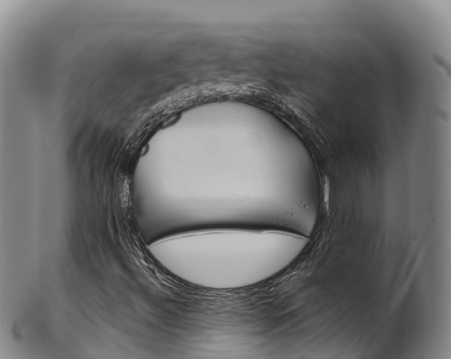X0000102531492200808081040