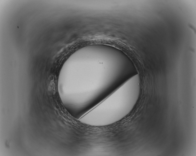 X0000102531493200808081040
