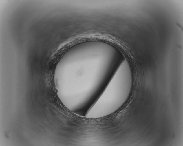 X0000102531494200808081040
