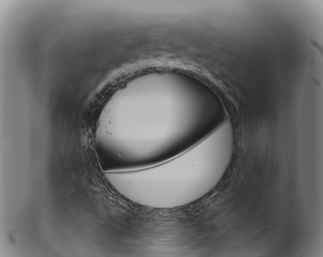 X0000102531495200808081040