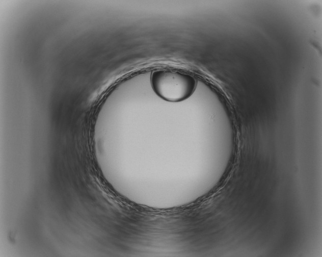 X0000102531496200808081040