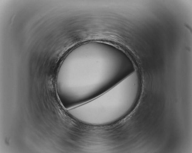 X0000102531497200808081040
