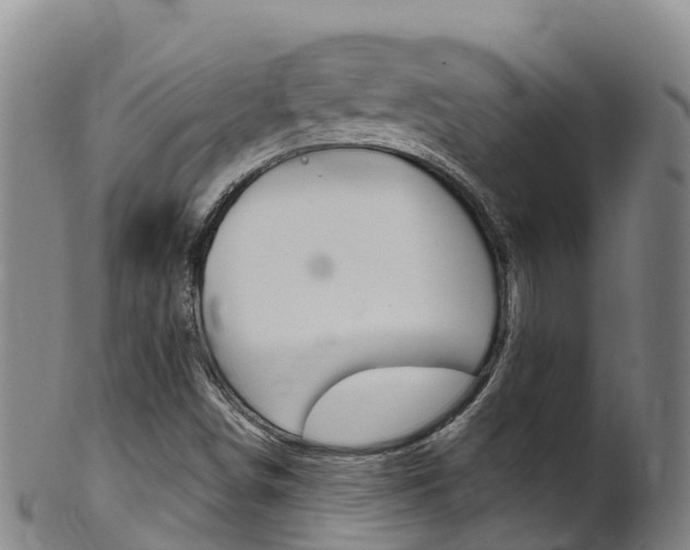 X0000102531498200808081040