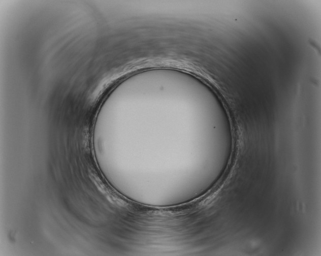 X0000102531499200808081040