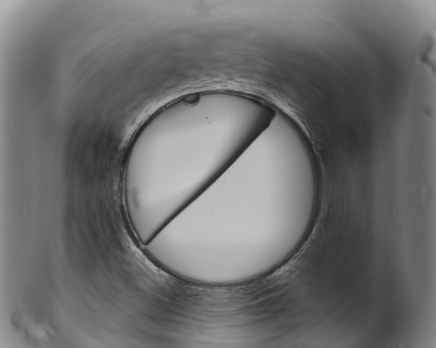 X0000102531500200808081040