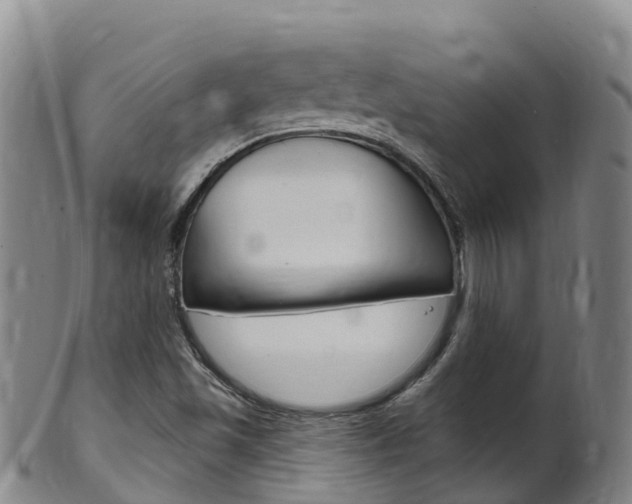 X0000102531501200808081040