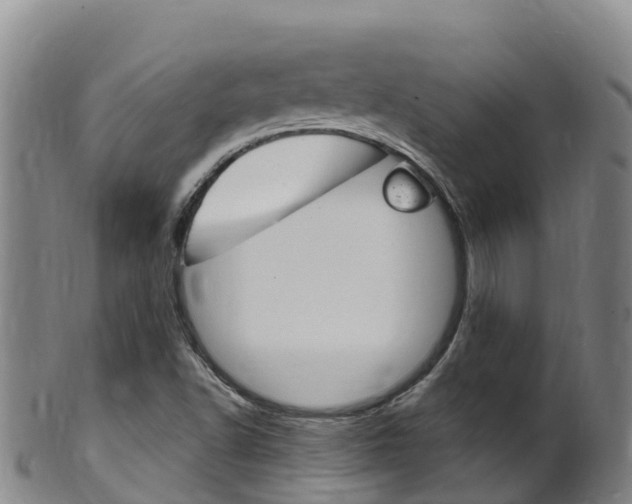 X0000102531502200808081040