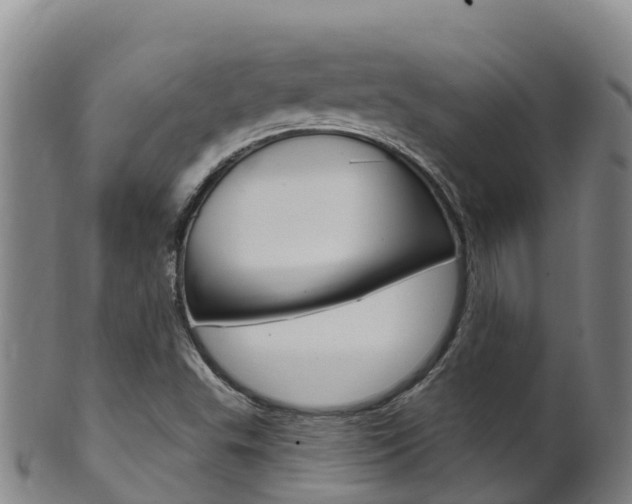X0000102531503200808081040