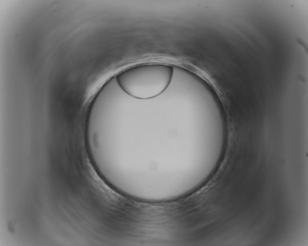 X0000102531504200808081040