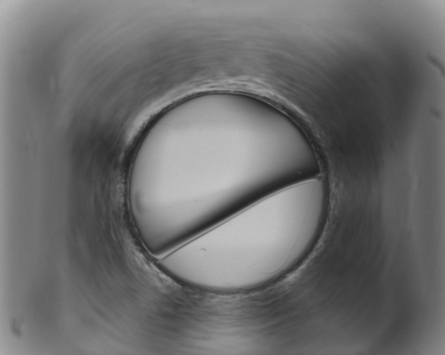 X0000102531506200808081041