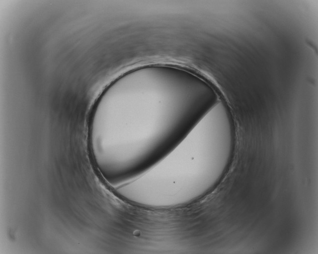 X0000102531508200808081041