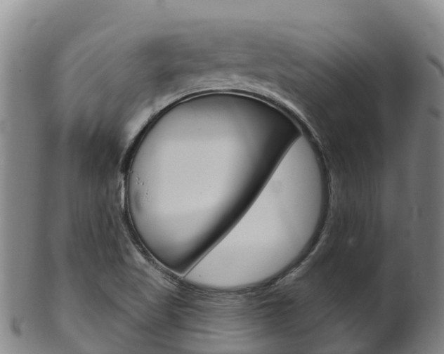 X0000102531509200808081041