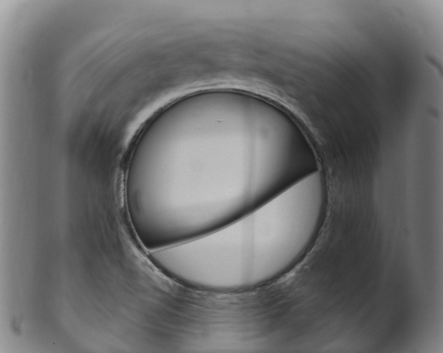 X0000102531510200808081041