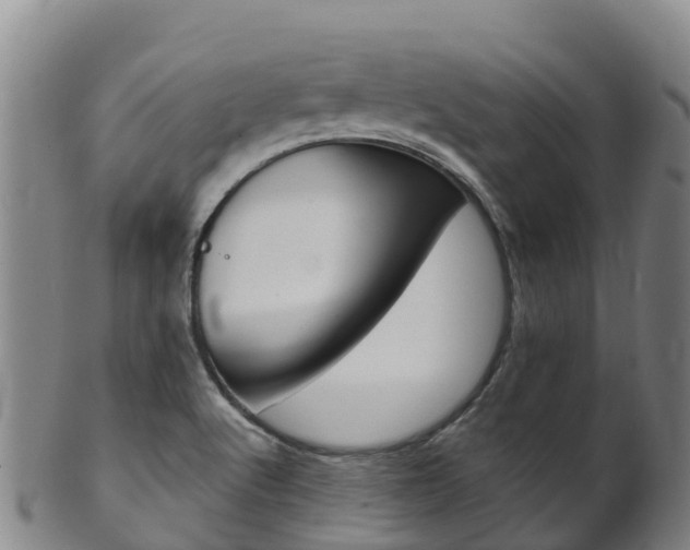 X0000102531512200808081041