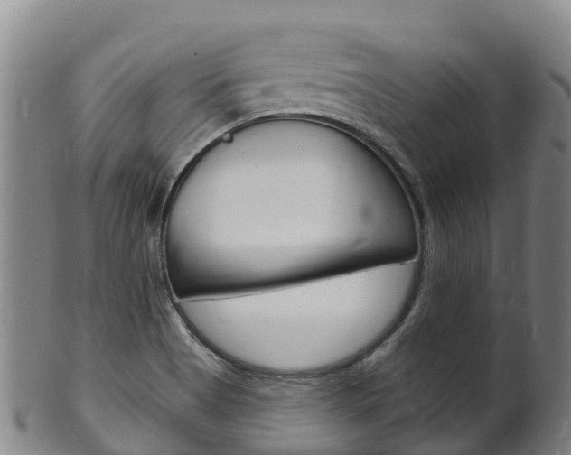 X0000102531513200808081041