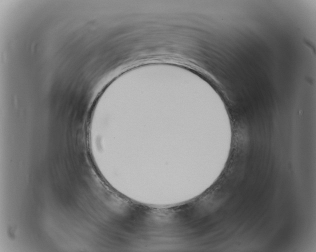 X0000102531514200808081041