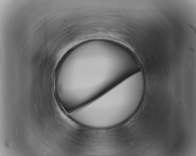 X0000102531515200808081041