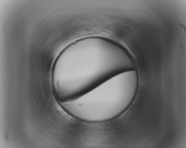 X0000102531516200808081041