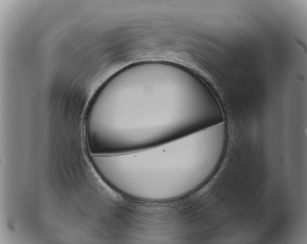 X0000102531517200808081041