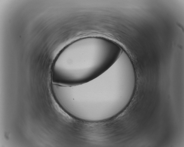X0000102531518200808081041