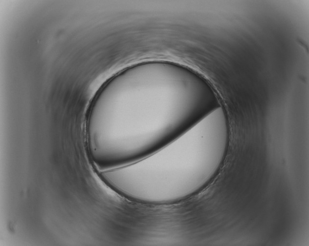 X0000102531519200808081041