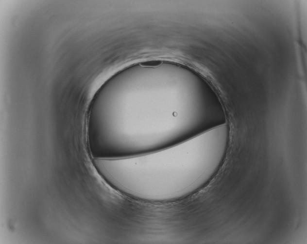 X0000102531520200808081041