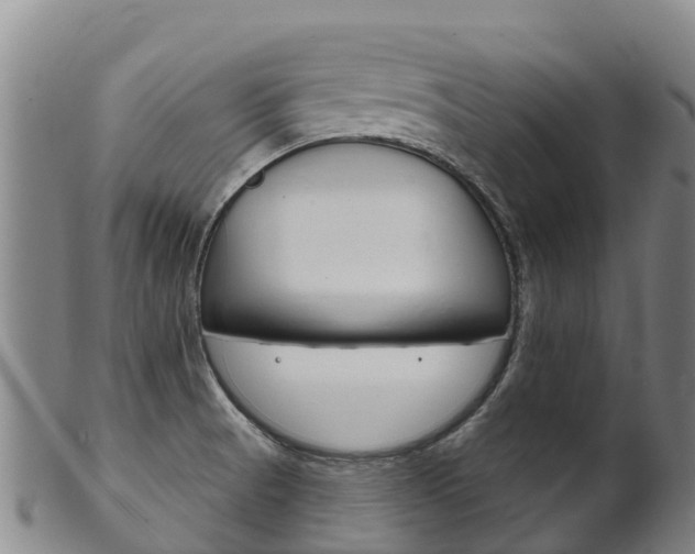 X0000102531521200808081041