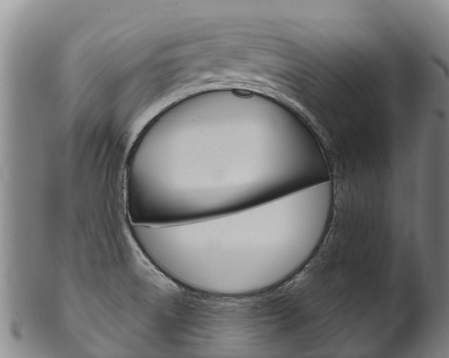 X0000102531522200808081041