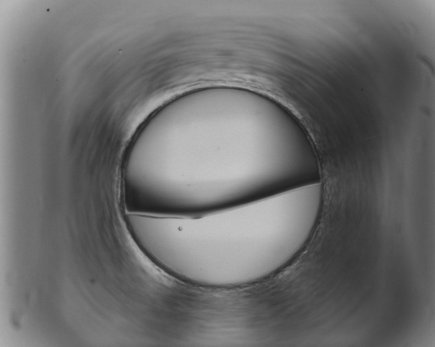 X0000102531523200808081041
