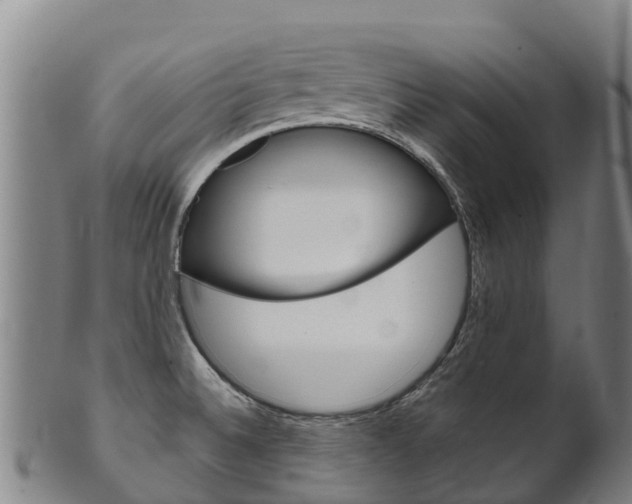 X0000102531524200808081041
