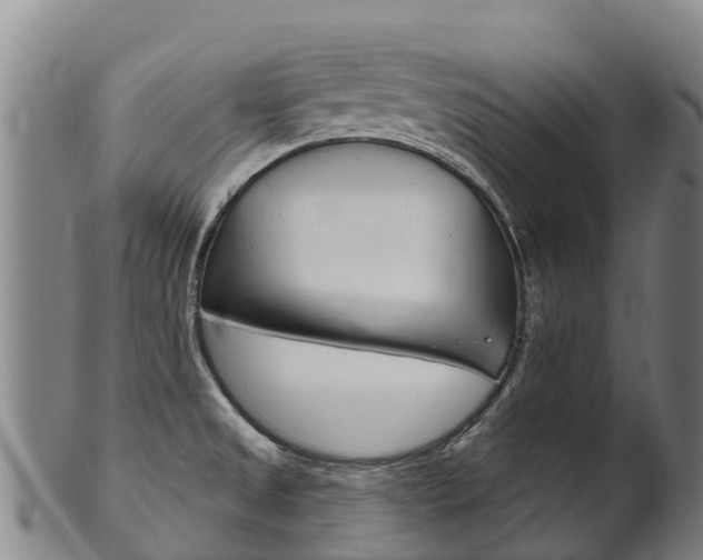 X0000102531525200808081041
