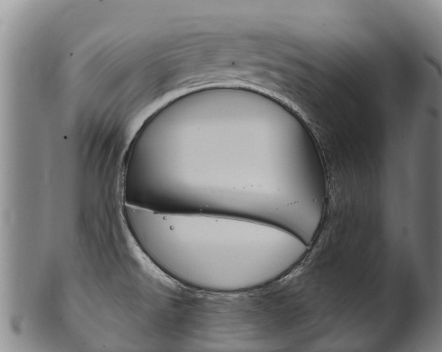 X0000102531526200808081041