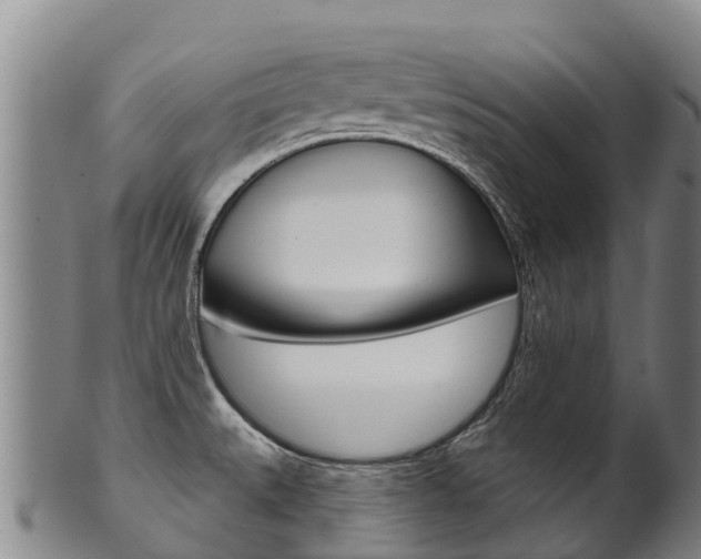 X0000102531527200808081041