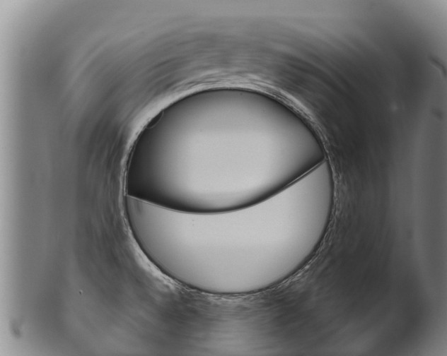 X0000102531528200808081041