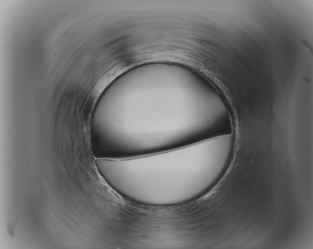 X0000102531529200808081041