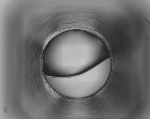 X0000102531530200808081041