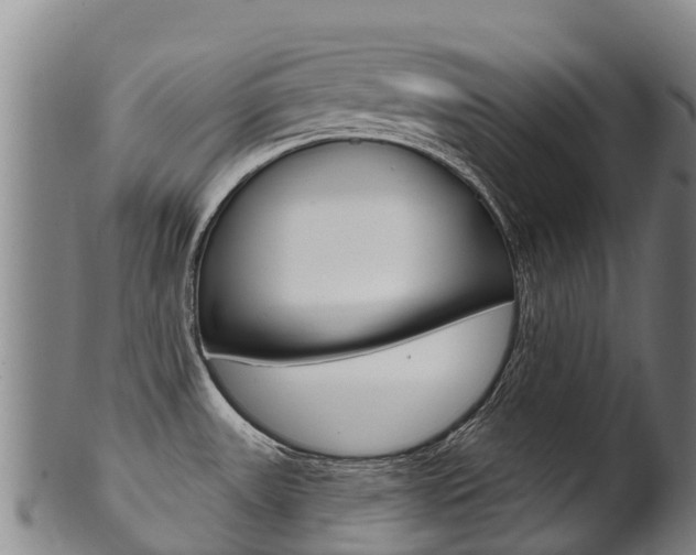 X0000102531531200808081041