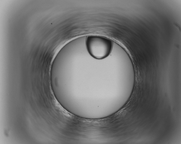 X0000102531532200808081041